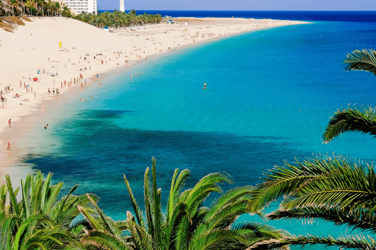 In het voorjaar naar de zon!