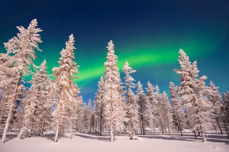 Singlereizen naar Lapland: winteravontuur in Finland én Zweden