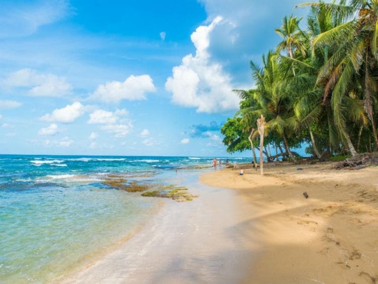 Dag 3 - Cahuita